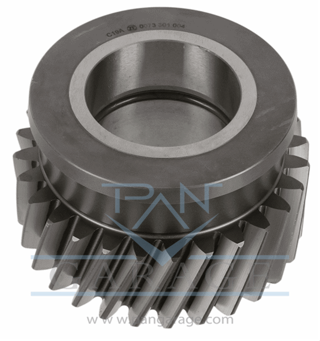 0073 301 004 Gear