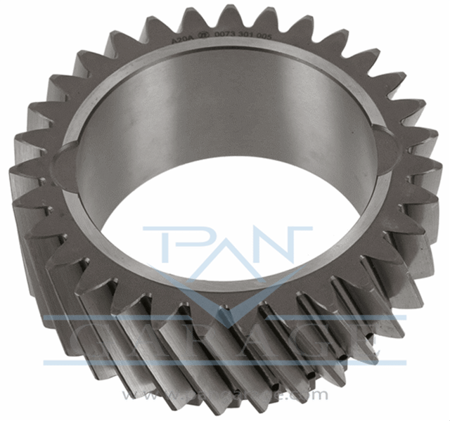 0073 301 005 Constant Ratio Gear