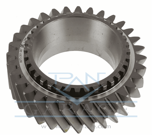 0073 301 087 Gear