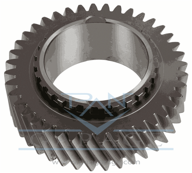 0073 301 250 Constant Ratio Gear