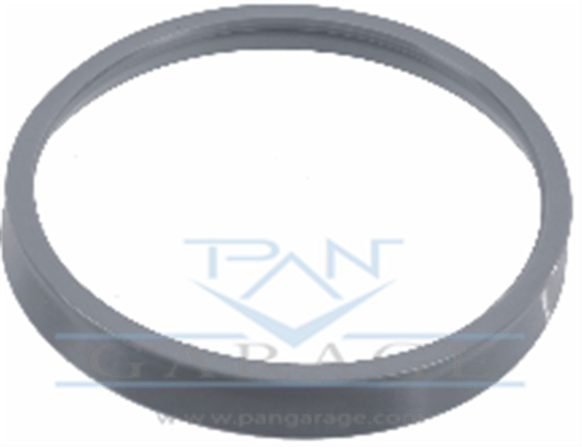 0073 301 419 Sealing Ring