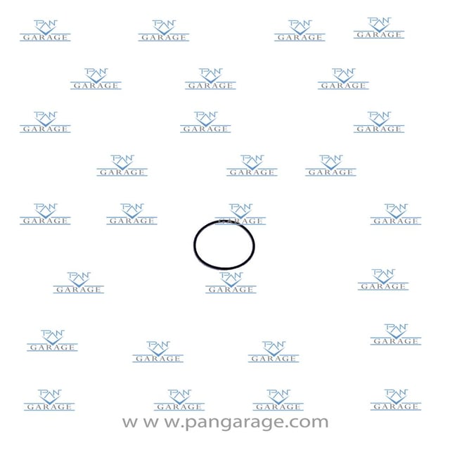 0501 322 907 O-Ring