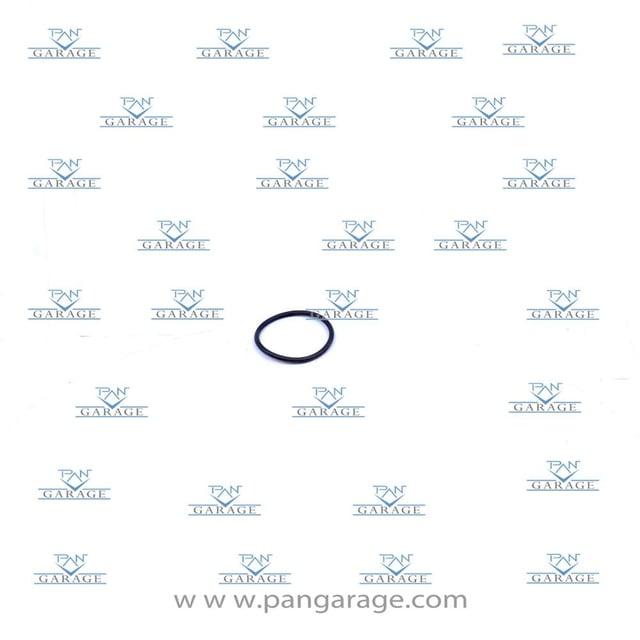 0769 151 008 O-Ring