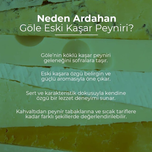 Ardahan Göle Eski Kaşar Peyniri