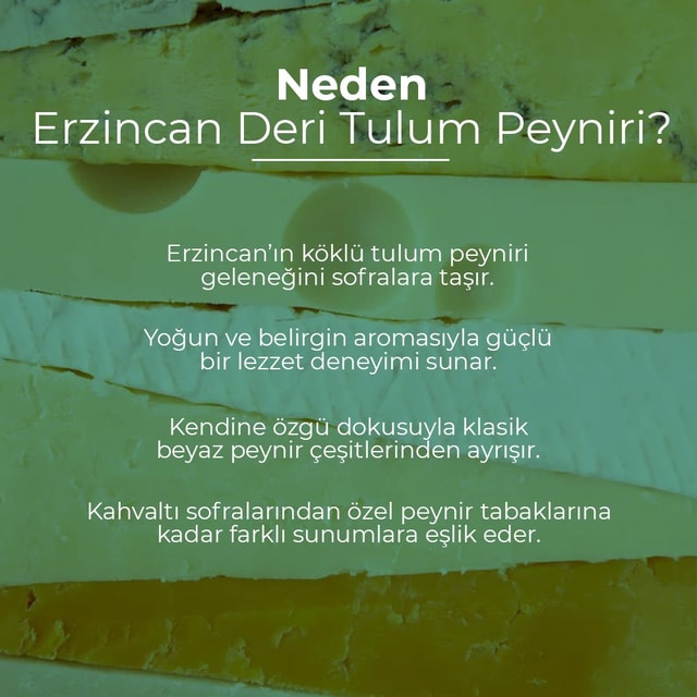 Erzincan Deri Tulum Peyniri