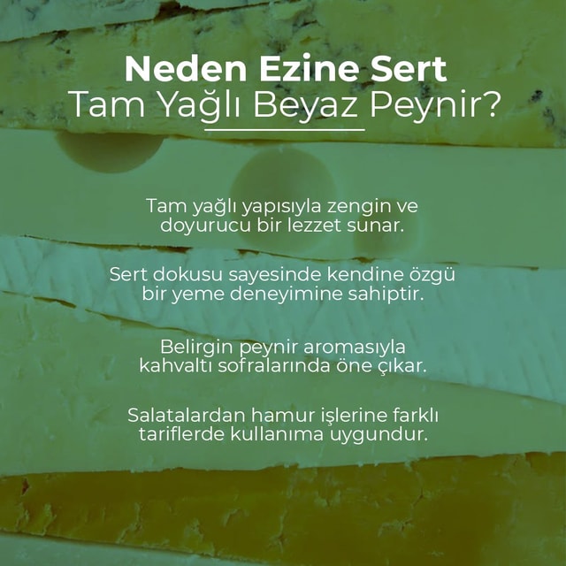 Ezine Sert Tam Yağlı Beyaz Peynir 250 GRAM