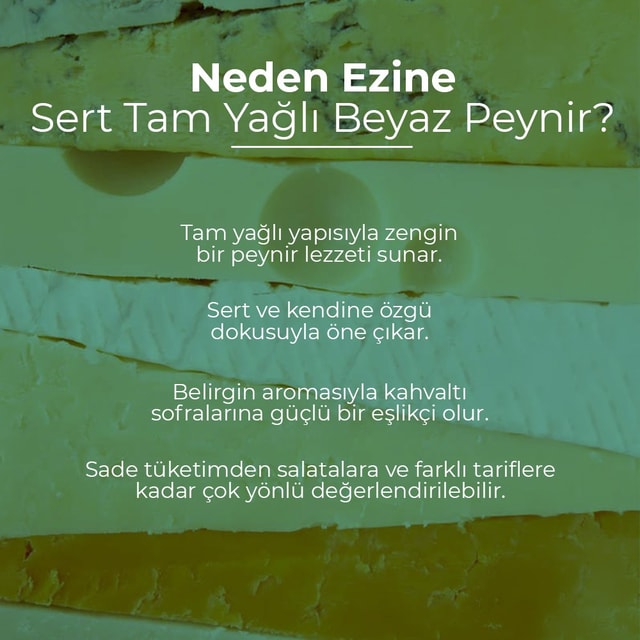 Ezine Sert Tam Yağlı Beyaz Peynir