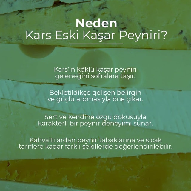 Kars Eski Kaşar Peyniri