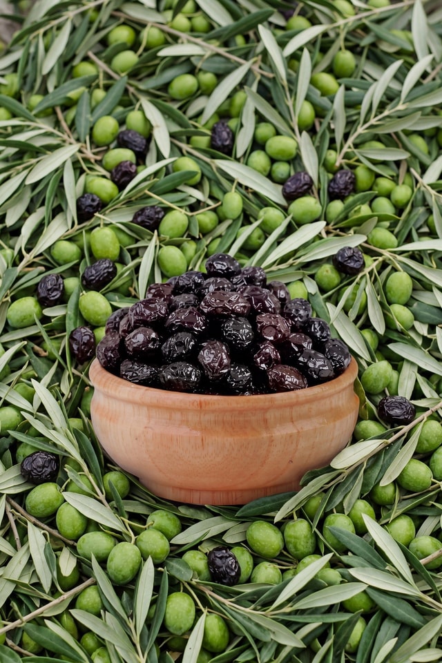 Mudanya Siyah Zeytin