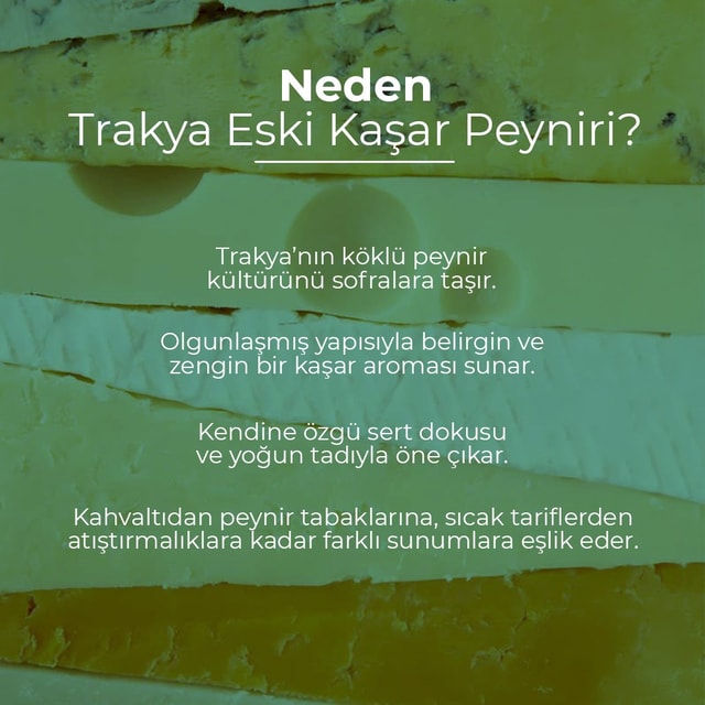 Trakya Eski Kaşar Peyniri