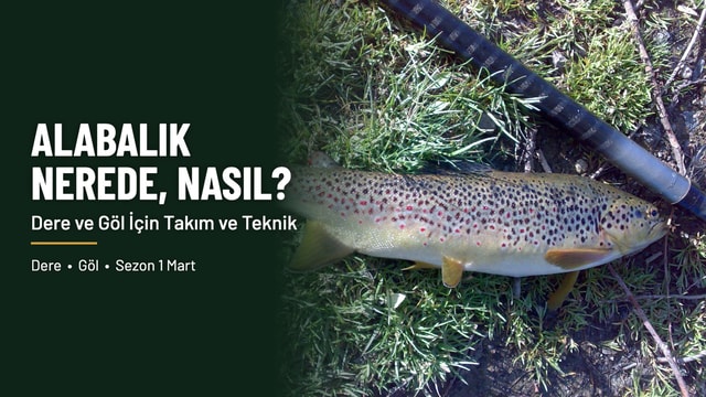 Alabalık Nerede ve Nasıl Yakalanır?