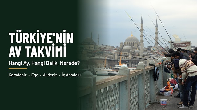 Türkiye'nin Bölgesel Av Takvimi