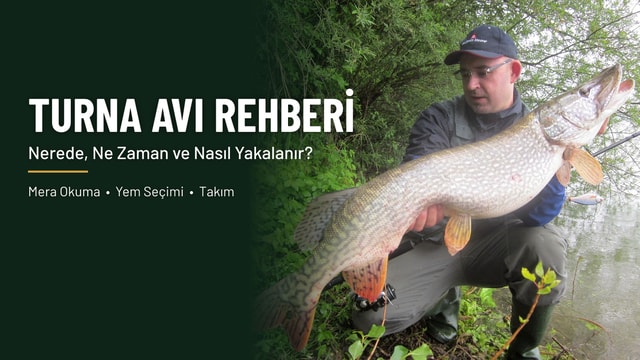Turna Avı Rehberi
