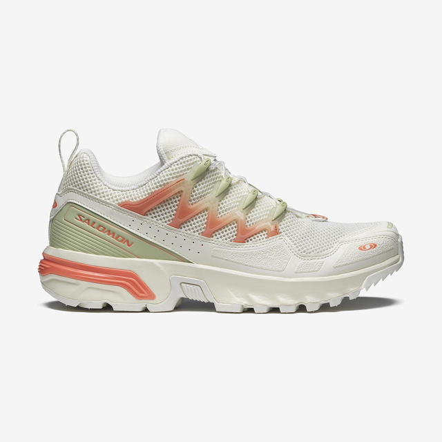 L47443400-ACS + OG