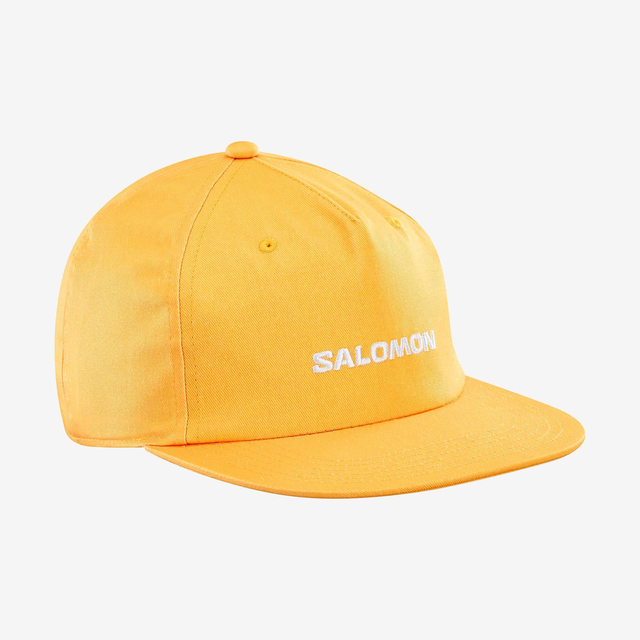LC2529200-CAP FLAT U