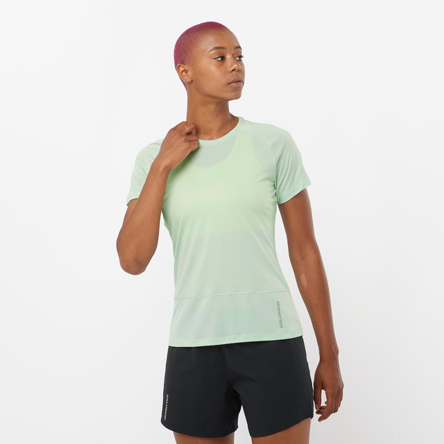 LC2243400-CROSS RUN SS TEE W