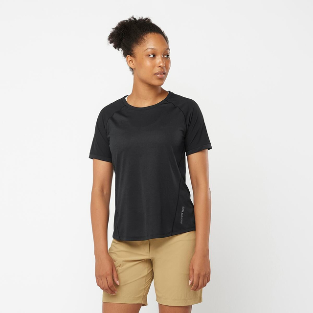 LC2029800-OUTLINE