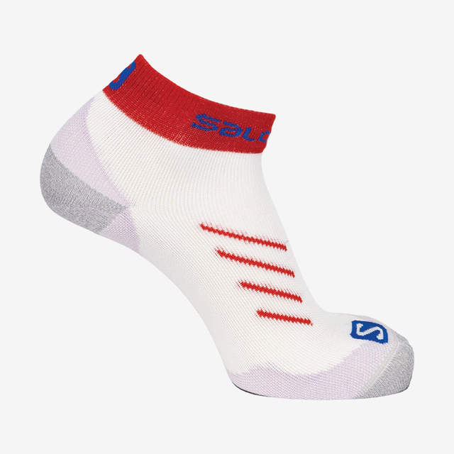 LC1816300-PULSE ANKLE DX+SX