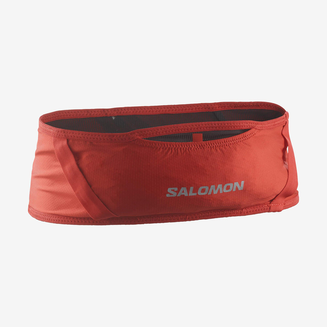 LC2180000-PULSE BELT