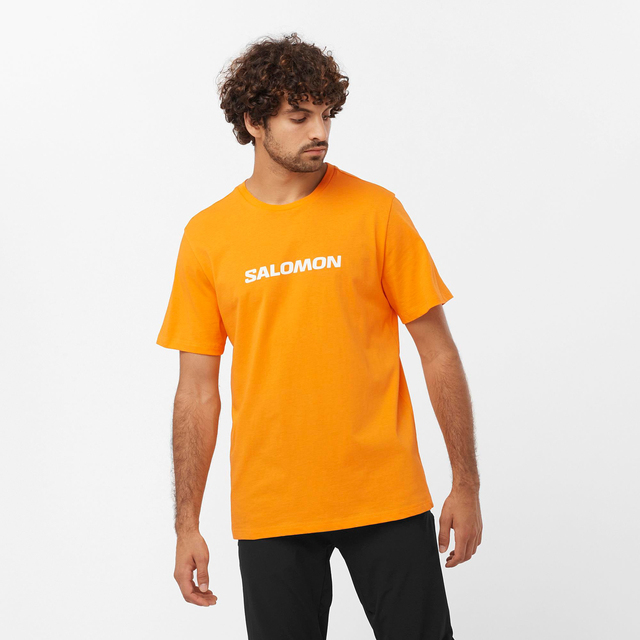 LC2245700-SAL LOGO PERF SS TEE M