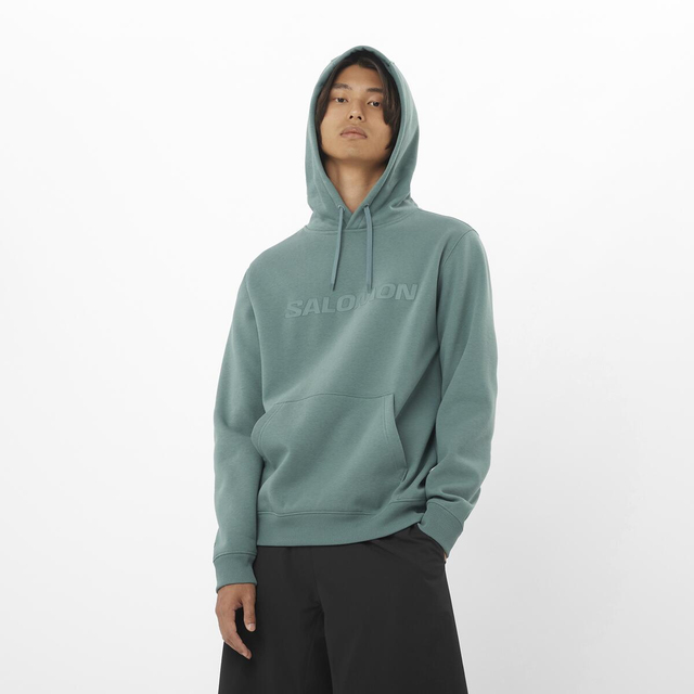 LC2525300-SALOMON BIG LOGO HOODIE M