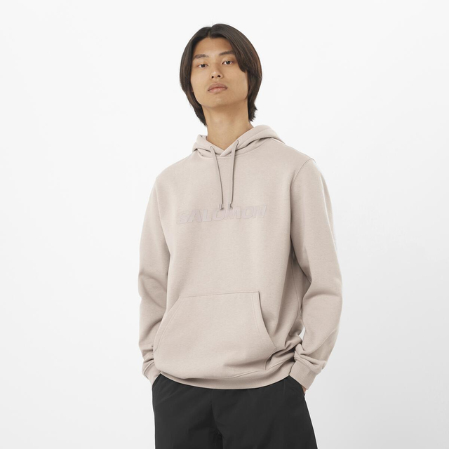 LC2525500-SALOMON BIG LOGO HOODIE M