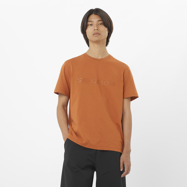 LC2527100-SALOMON BIG LOGO TEE M