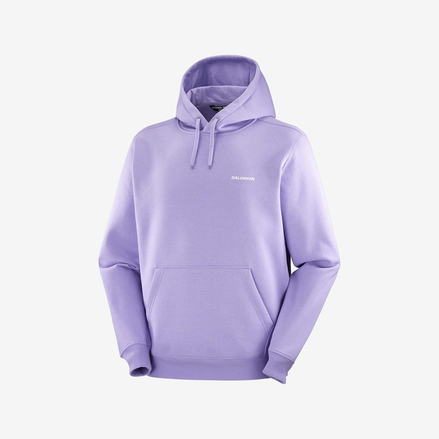 LC2522800-SALOMON LOGO HOODIE M