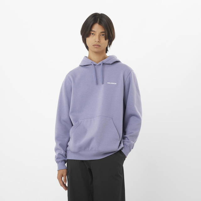 LC2523900-SALOMON LOGO HOODIE M