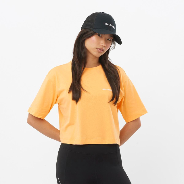 LC2528000-SALOMON LOGO SHORT TEE W