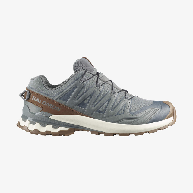 L49296100-XA PRO 3D V9 GORE-TEX LIFELONG