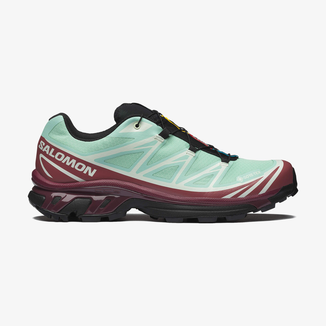 L49306700-XT-6 GORE-TEX