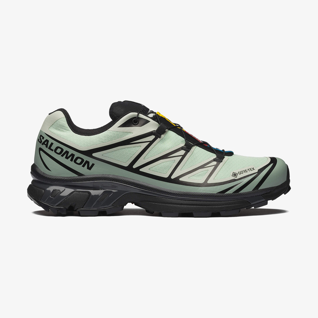 L49306800-XT-6 GORE-TEX