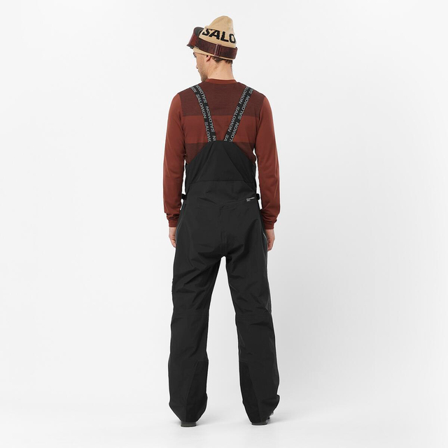 LC2323200-ABSOLUTE BIB M