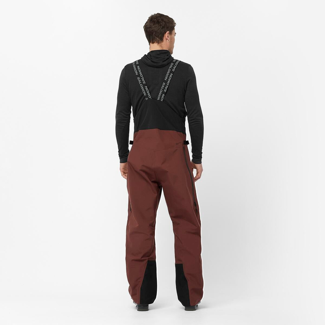 LC2336700-ABSOLUTE BIB M