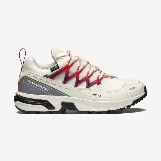 L47595900-ACS + CSWP