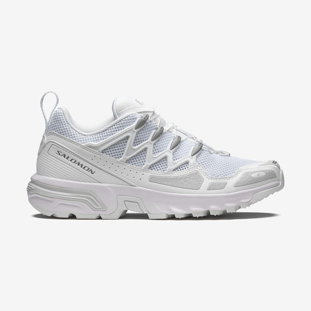 L47766700-ACS + OG