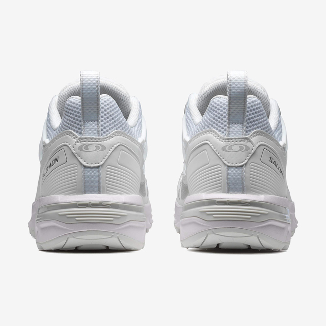 L47766700-ACS + OG