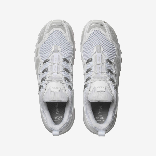 L47766700-ACS + OG