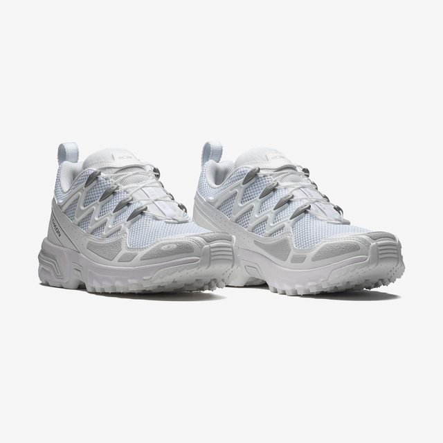 L47766700-ACS + OG