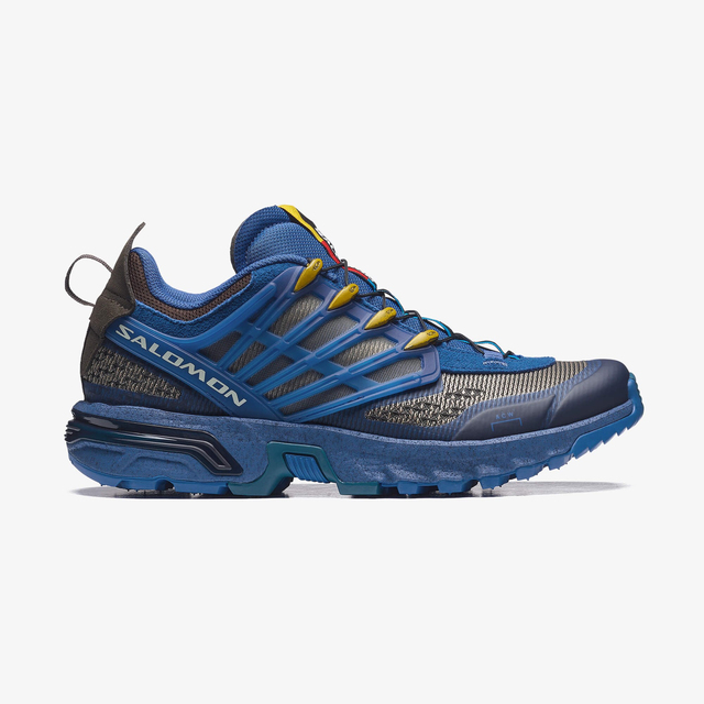 LD0178900-ACS PRO A.C.W
