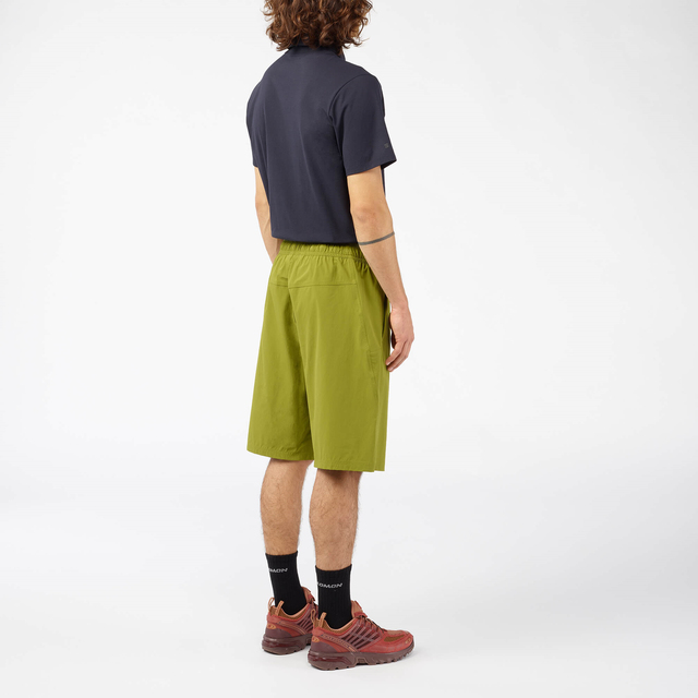 L47967900-ACS PRO RED ASHES