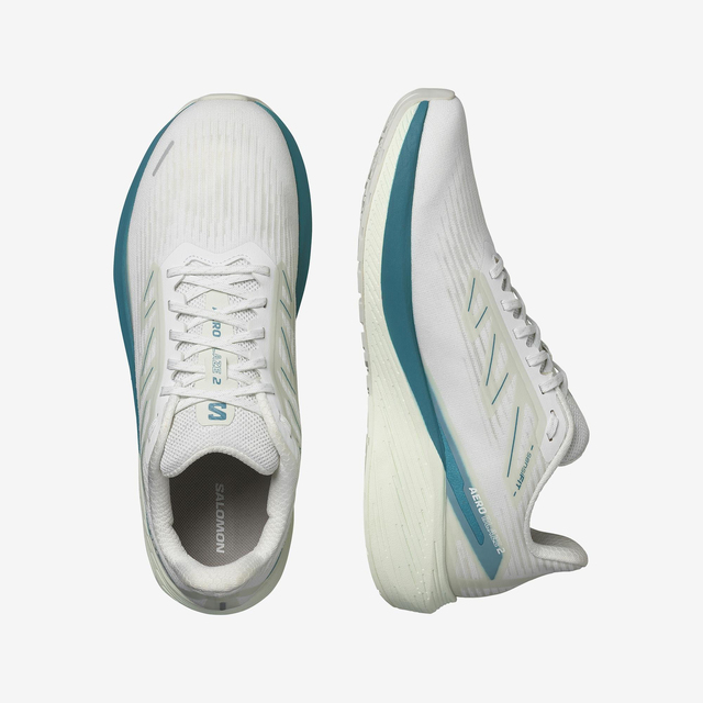 L47426100-AERO BLAZE 2