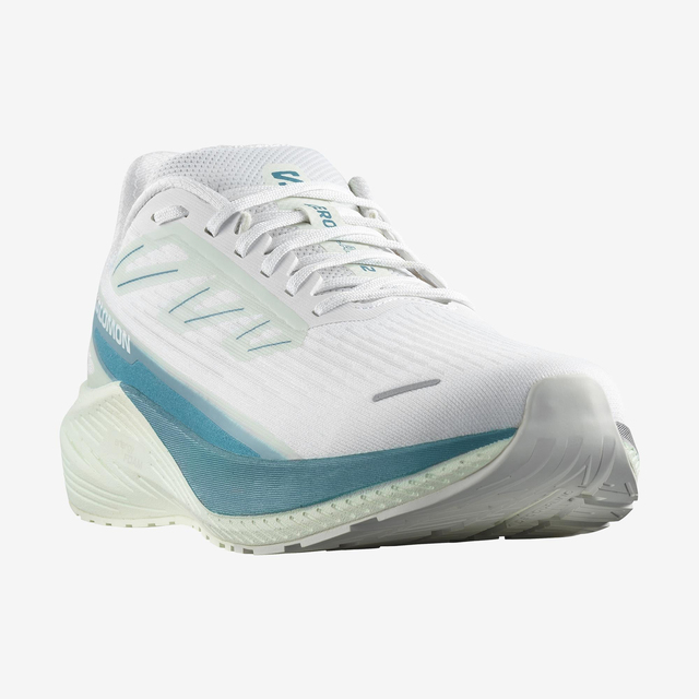 L47426100-AERO BLAZE 2