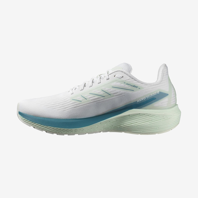L47426100-AERO BLAZE 2