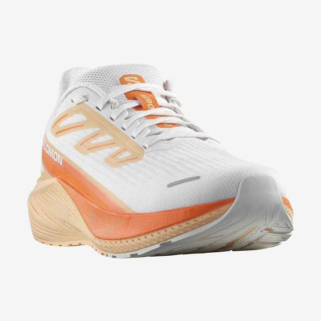L47426500-AERO BLAZE 2