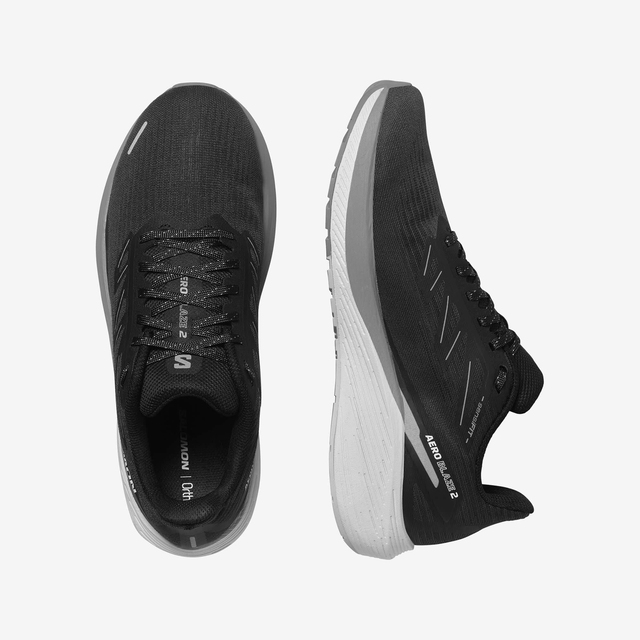 L47683900-AERO BLAZE 2