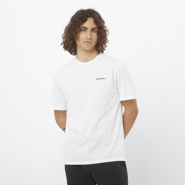 LC2364100-ANNECY SS TEE M