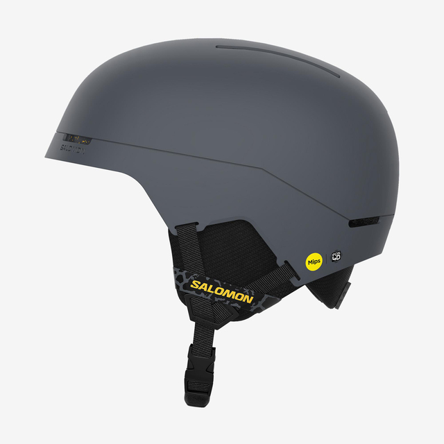 L47360300-BRIGADE MIPS LTD