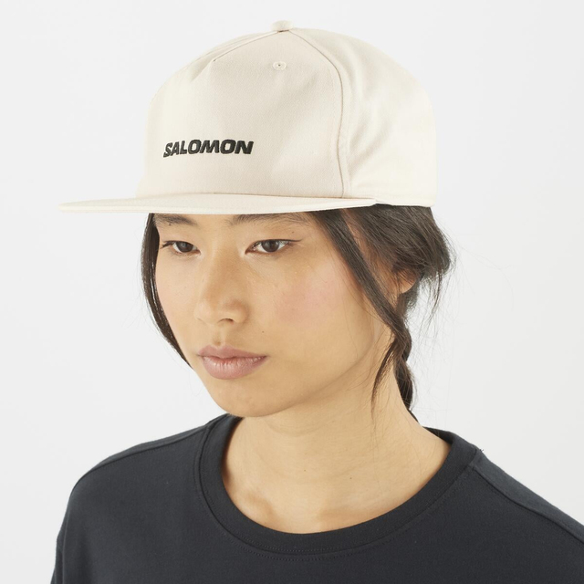 LC2528200-CAP FLAT U